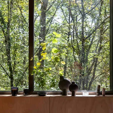 Designer House In The Vezere Forest